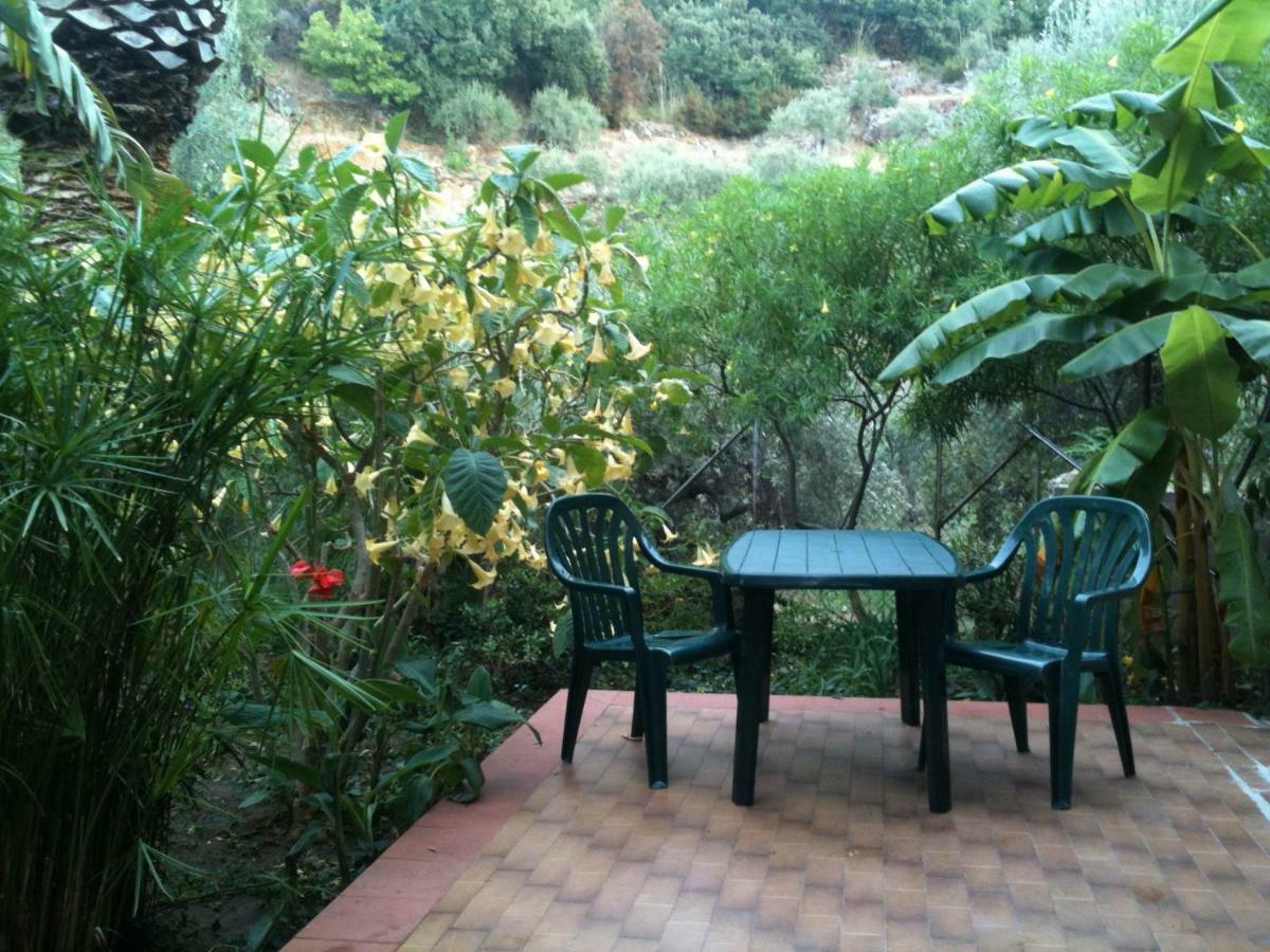 Green Villa Sand Beach Center Close Sea Veiw تْشيفالو المظهر الخارجي الصورة